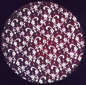 CAP-3.jpg