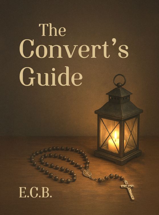 N-CONVERT_1.jpg