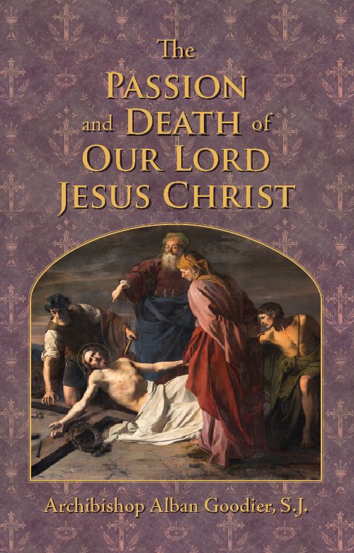https://joyfulcatholic.com/cdn/shop/files/N-PDJC2.jpg