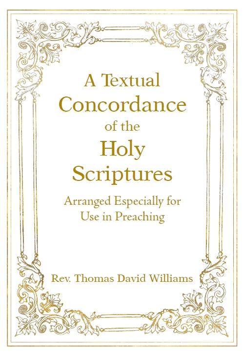 https://joyfulcatholic.com/cdn/shop/files/N-TXTC_1.jpg