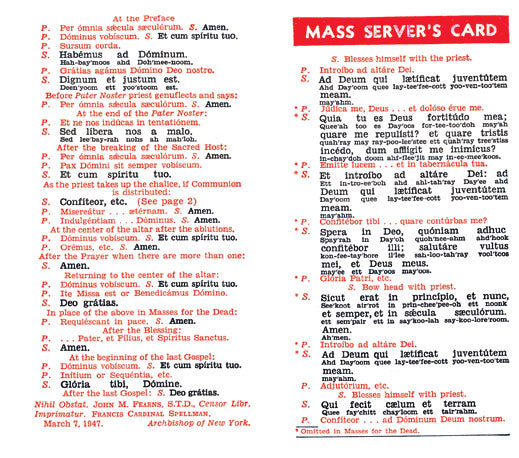 n-msc.jpg