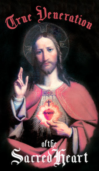 https://joyfulcatholic.com/cdn/shop/files/ntvs.jpg